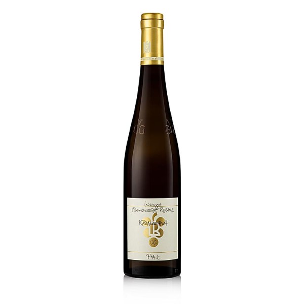 Rebholz - 2020er Kastanienbusch Riesling GG trocken 12.5% vol. Rebholz BIO