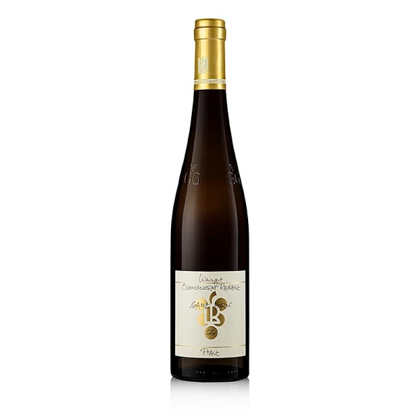 Rebholz - 2020er Ganz Horn Riesling GG trocken 12.5% vol. Rebholz BIO